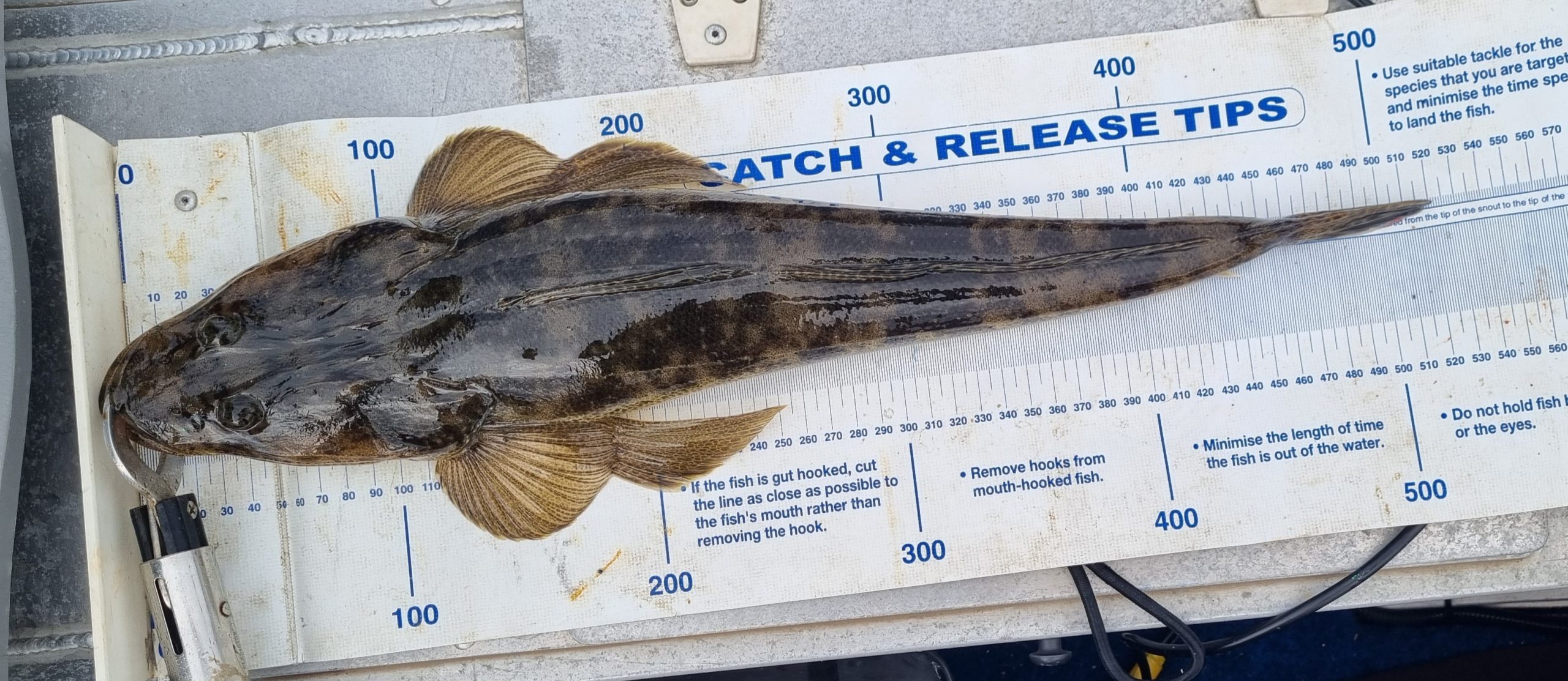 week 39 fishing report photo